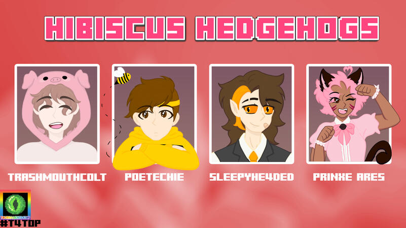 Hibiscus Hedgehogs Hibiscus Hedgehogs